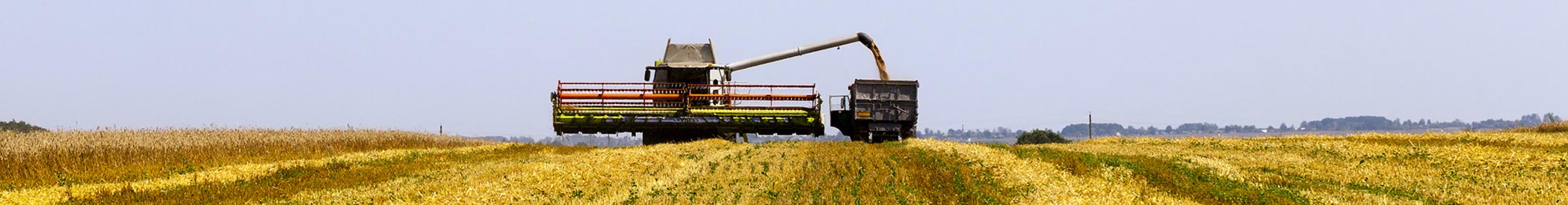 Combine harvester on farm field